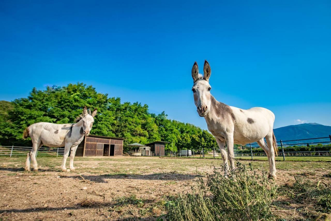 Agriturismo La Pertica Costermano Ngoại thất bức ảnh